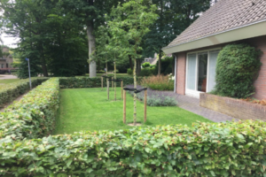 Tuin onderhoud